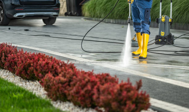 Best Patio and Deck Pressure Washing  in Chesnut Hill, PA